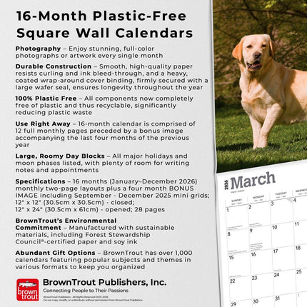Browntrout Labrador Retriever Blond Kalender 2026