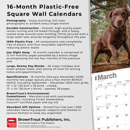 Browntrout Labrador Retriever Bruin Kalender 2027