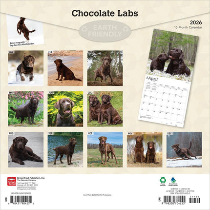Browntrout Labrador Retriever Bruin Kalender 2027