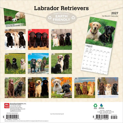 Browntrout Labrador Retriever Mixed Kalender 2027