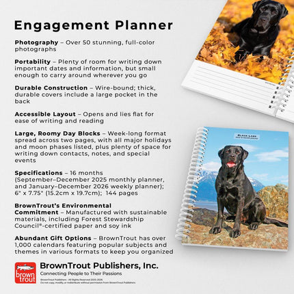 Browntrout Labrador Retriever Zwart Agenda 2026