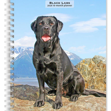 Browntrout Labrador Retriever Zwart Agenda 2026