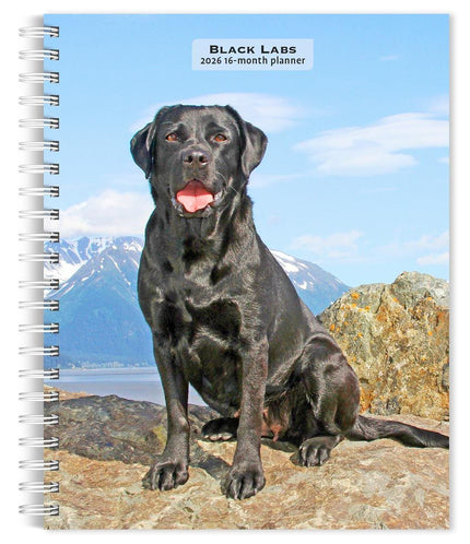 Browntrout Labrador Retriever Zwart Agenda 2026