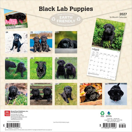 Browntrout Labrador Retriever Zwart Puppies Kalender 2027