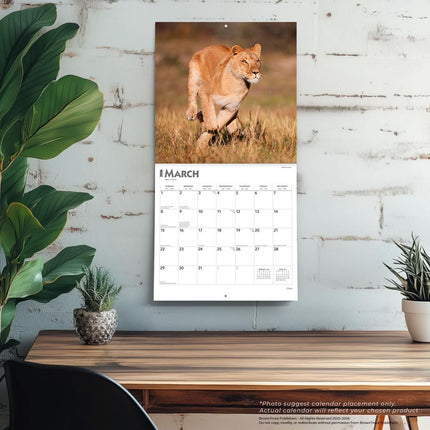 Browntrout Leeuwen Kalender 2026