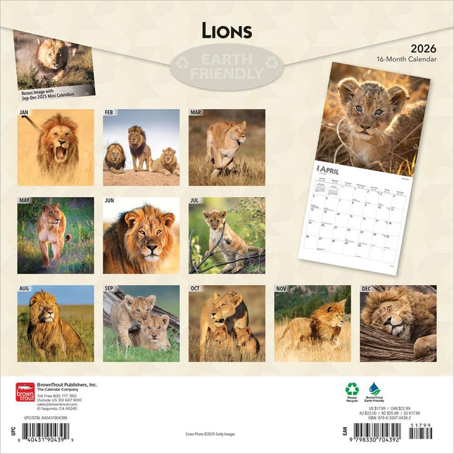 Browntrout Leeuwen Kalender 2026