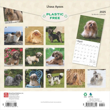 Browntrout Lhasa Apso Kalender 2025