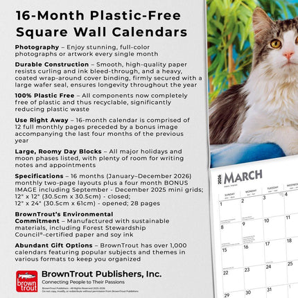 Browntrout Maine Coon Kalender 2026