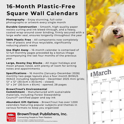 Browntrout Maltezer Kalender 2026