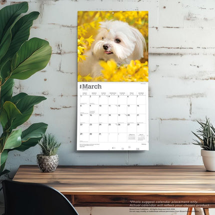 Browntrout Maltezer Kalender 2026