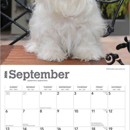 Browntrout Maltezer Kalender 2026