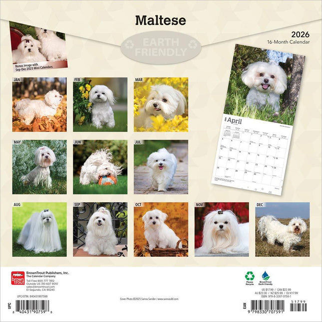 Browntrout Maltezer Kalender 2026