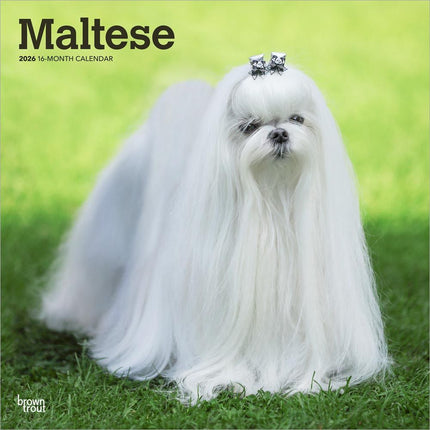 Browntrout Maltezer Kalender 2026