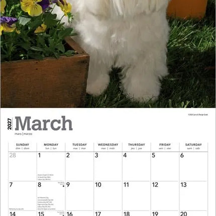 Browntrout Maltezer Kalender 2027