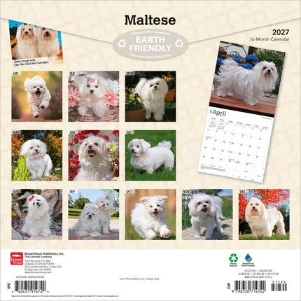 Browntrout Maltezer Kalender 2027