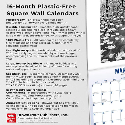 Browntrout M.C. Escher Kalender 2026