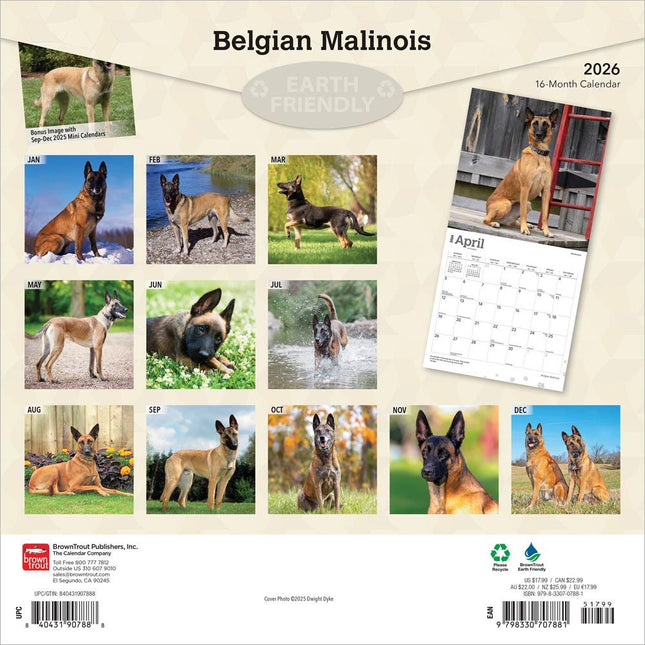 Browntrout Mechelaar Kalender 2026
