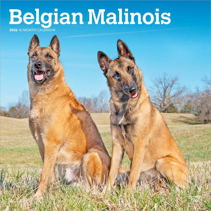 Browntrout Mechelaar Kalender 2026