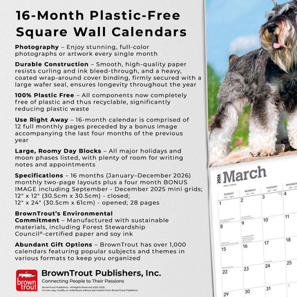 Browntrout Miniatuur Schnauzer Kalender 2026
