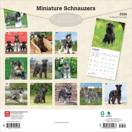 Browntrout Miniatuur Schnauzer Kalender 2026