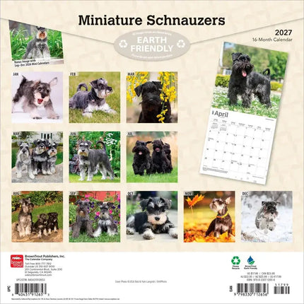 Browntrout Miniatuur Schnauzer Kalender 2027