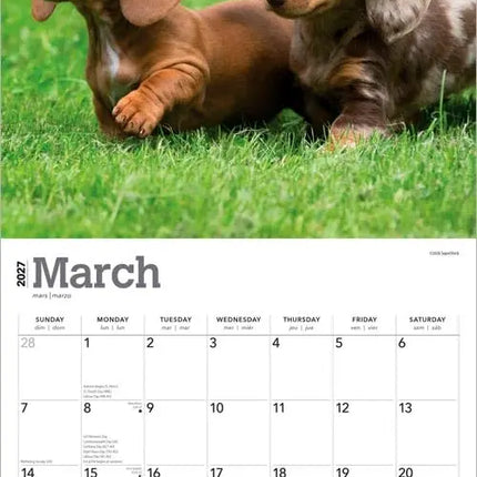 Browntrout Miniatuur Teckel Kalender 2027