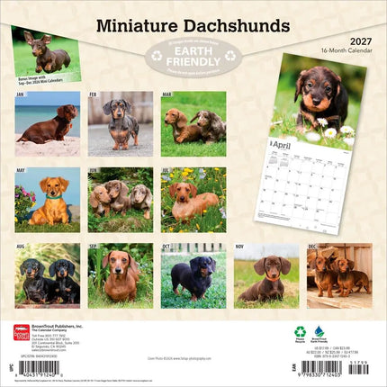 Browntrout Miniatuur Teckel Kalender 2027