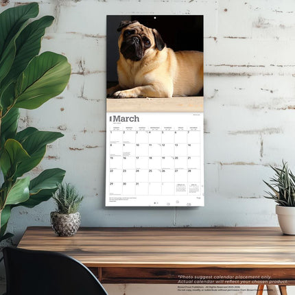 Browntrout Mopshond Kalender 2026