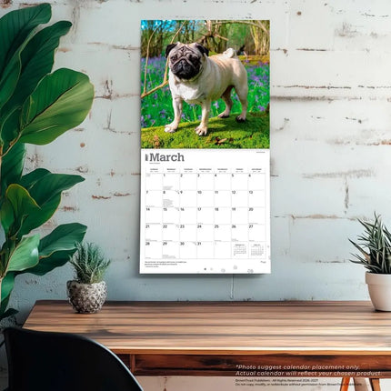 Browntrout Mopshond Kalender 2027