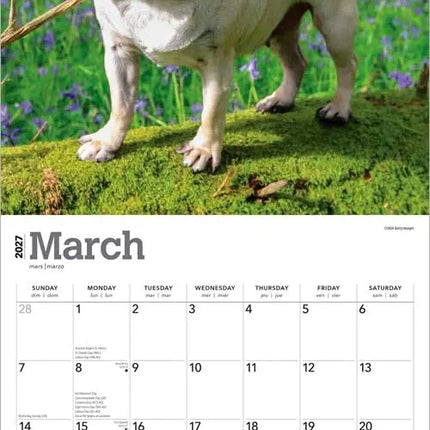 Browntrout Mopshond Kalender 2027