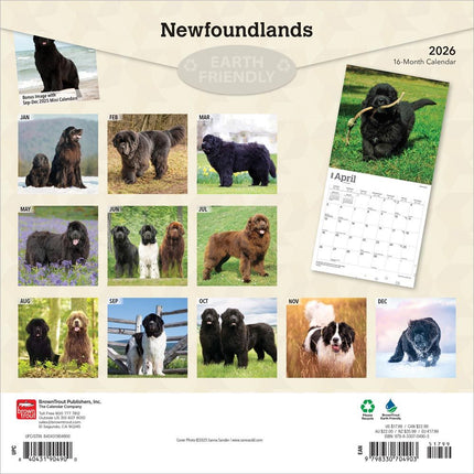 Browntrout Newfoundlander Kalender 2026