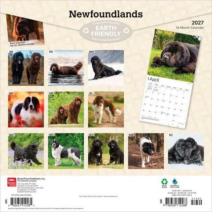 Browntrout Newfoundlander Kalender 2027