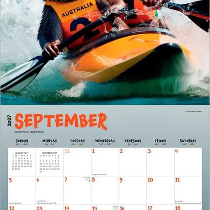 Browntrout Otter Games Kalender 2027