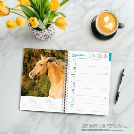 Browntrout Paarden Agenda 2026