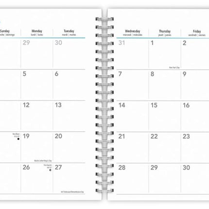 Browntrout Paarden Agenda 2026