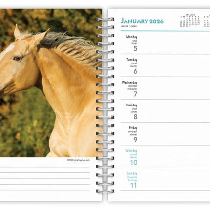 Browntrout Paarden Agenda 2026