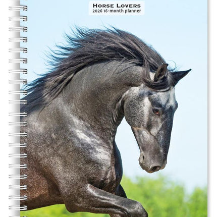 Browntrout Paarden Agenda 2026