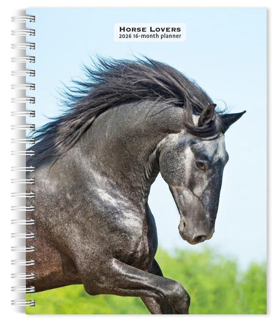 Browntrout Paarden Agenda 2026