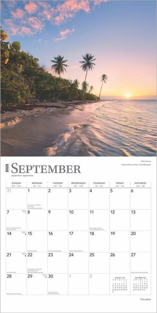 Browntrout Paradise Kalender 2025