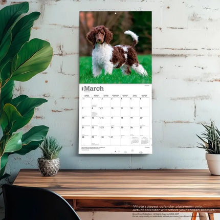 Browntrout Poedel Kalender 2027