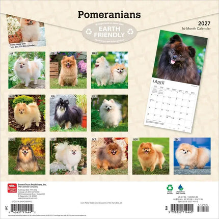 Browntrout Pomeranian Kalender 2027