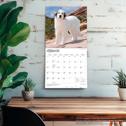 Browntrout Pyreneese Berghond Kalender 2027