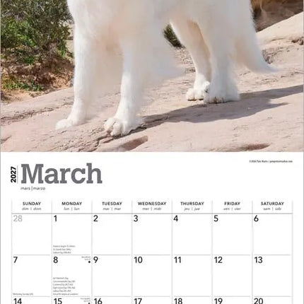 Browntrout Pyreneese Berghond Kalender 2027
