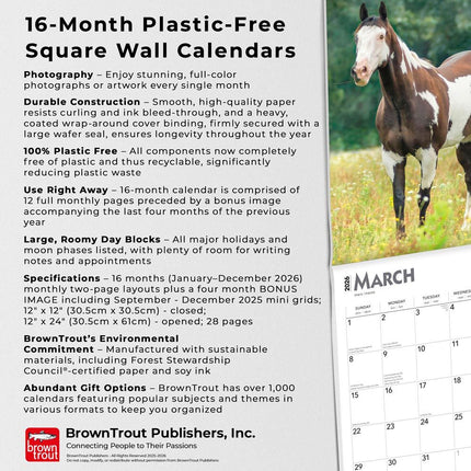 Browntrout Quarter Horse Kalender 2027