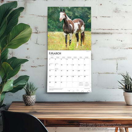 Browntrout Quarter Horse Kalender 2027