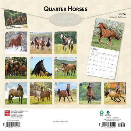 Browntrout Quarter Horse Kalender 2027