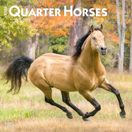 Browntrout Quarter Horse Kalender 2027