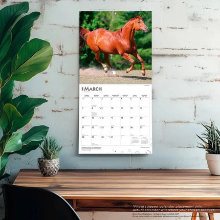 Browntrout Quarter Horse Kalender 2027