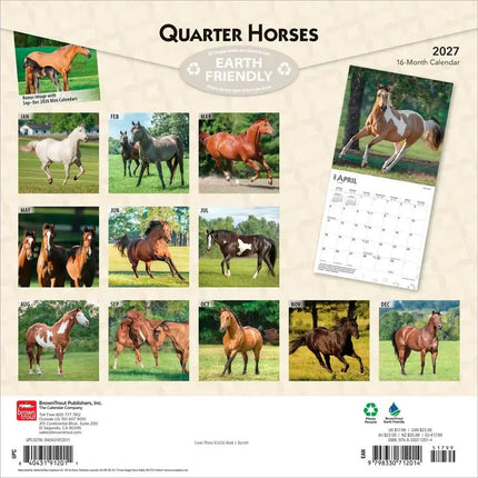 Browntrout Quarter Horse Kalender 2027