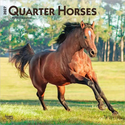 Browntrout Quarter Horse Kalender 2027